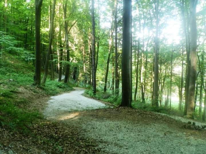 Apartmani Ramonda Teslić Buitenkant foto