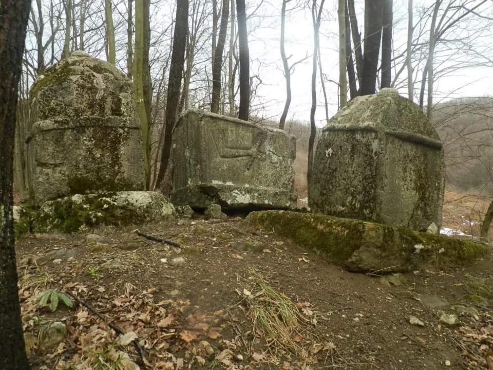 Apartmani Ramonda Teslić Buitenkant foto